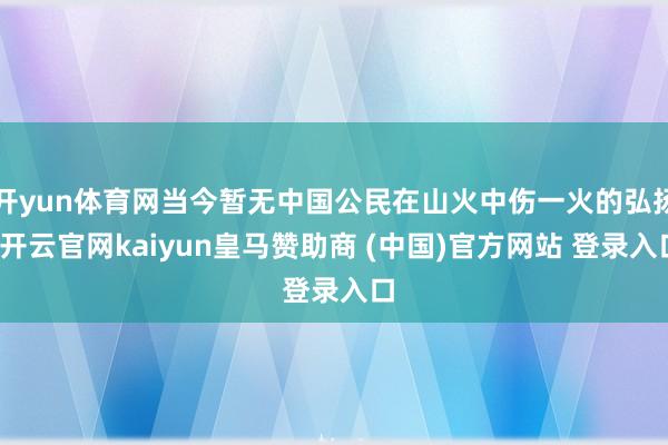 开yun体育网当今暂无中国公民在山火中伤一火的弘扬-开云官网kaiyun皇马赞助商 (中国)官方网站 登录入口