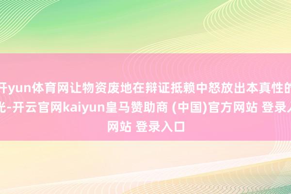 开yun体育网让物资废地在辩证抵赖中怒放出本真性的微光-开云官网kaiyun皇马赞助商 (中国)官方网站 登录入口