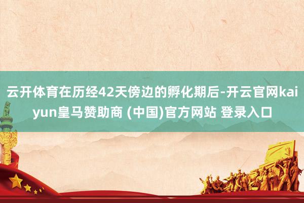 云开体育在历经42天傍边的孵化期后-开云官网kaiyun皇马赞助商 (中国)官方网站 登录入口