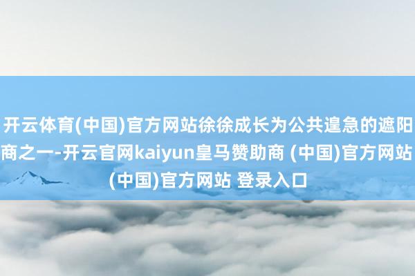 开云体育(中国)官方网站徐徐成长为公共遑急的遮阳面料分娩商之一-开云官网kaiyun皇马赞助商 (中国)官方网站 登录入口
