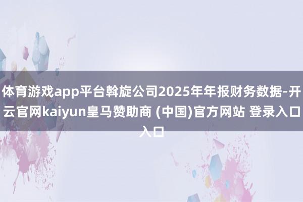体育游戏app平台斡旋公司2025年年报财务数据-开云官网kaiyun皇马赞助商 (中国)官方网站 登录入口
